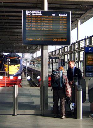 Bespoke CIS display support for St Pancras