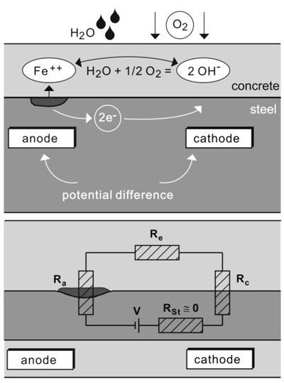 Figure 3: Schematic model for the corrosion of steel in concrete