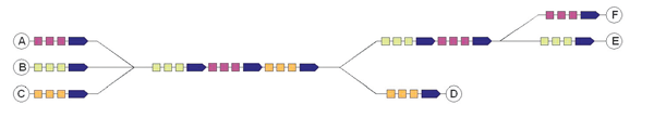 Figure 4: The train coupling and sharing system