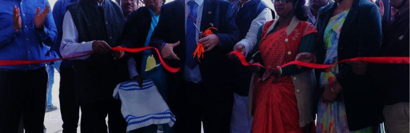 pandrol rahee india