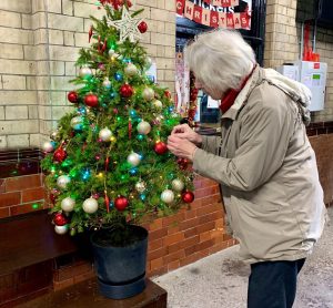 northern christmas tree