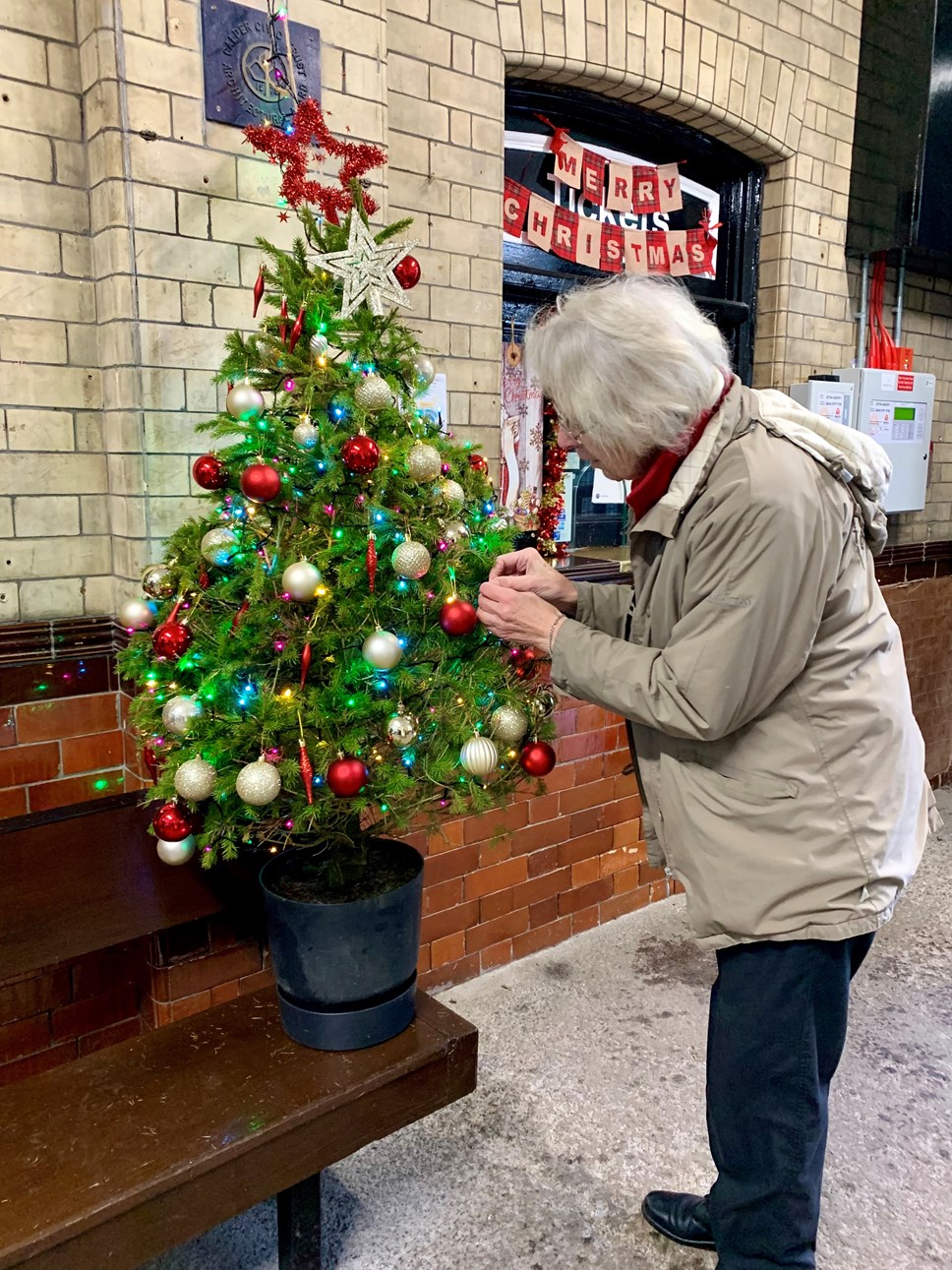 northern christmas tree