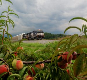 norfolk southern