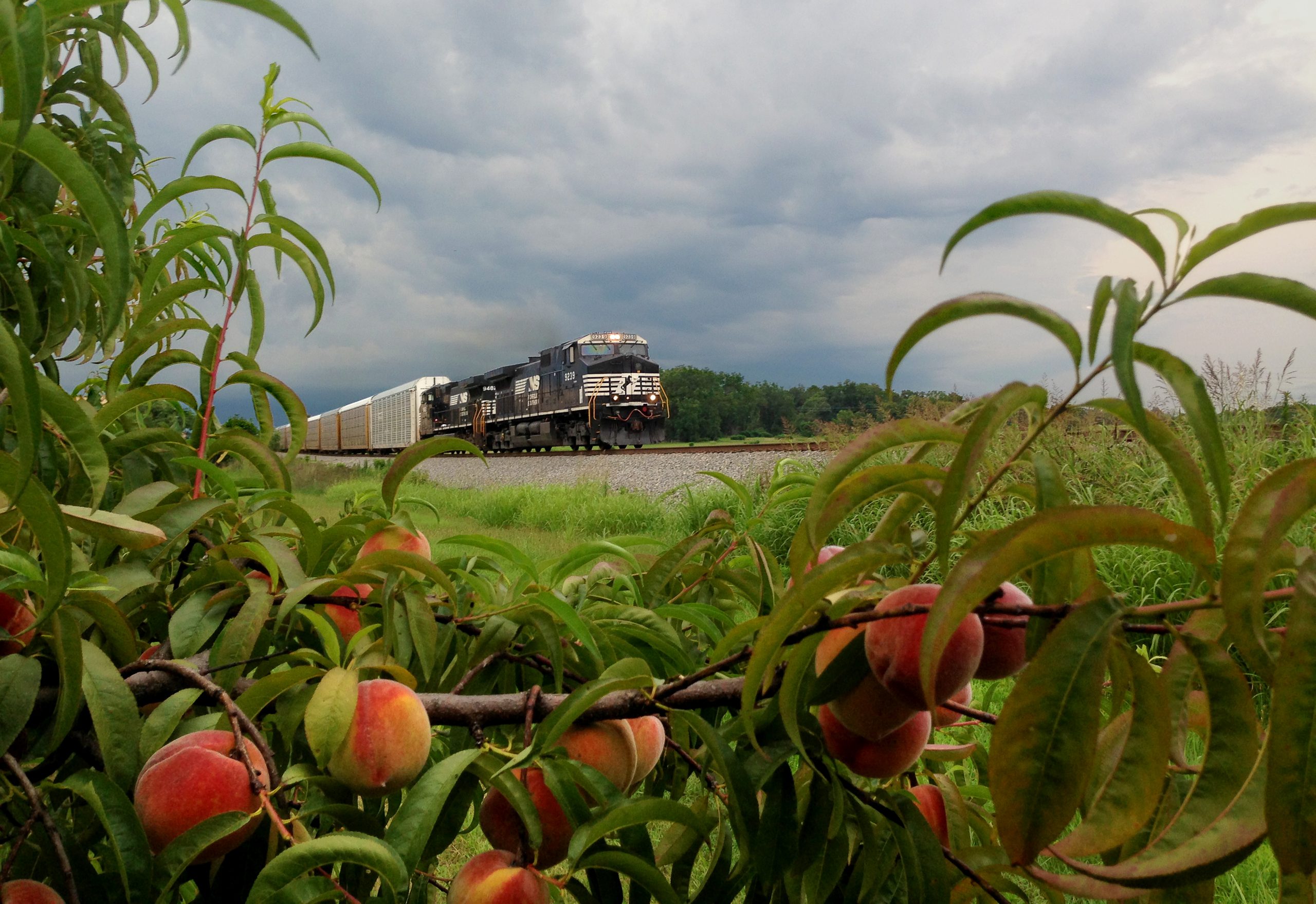 norfolk southern