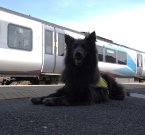 Transpennine express