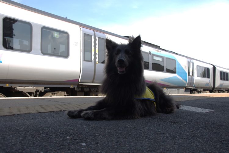 Transpennine express