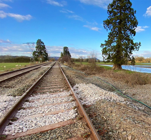 Cambrian Line reopening