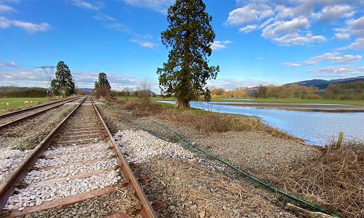 Cambrian Line reopening