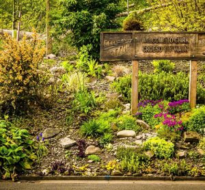 New Biodiversity Action Plan launched by Transport for Wales