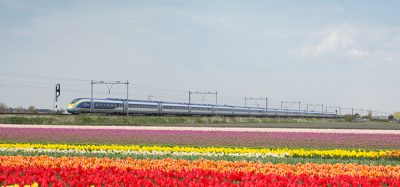 Eurostar Amsterdam Tulips