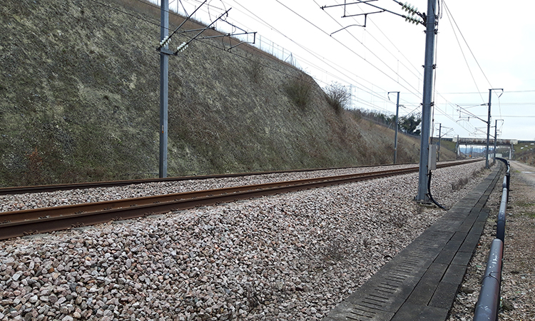 Track underneath an overcast sky