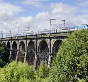 Scaffolding at Sankey viaduct