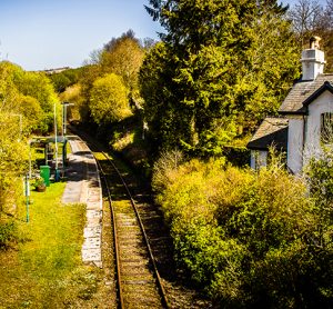 Transport for Wales highlights efforts in reducing carbon footprint for Clean Air Day 2020