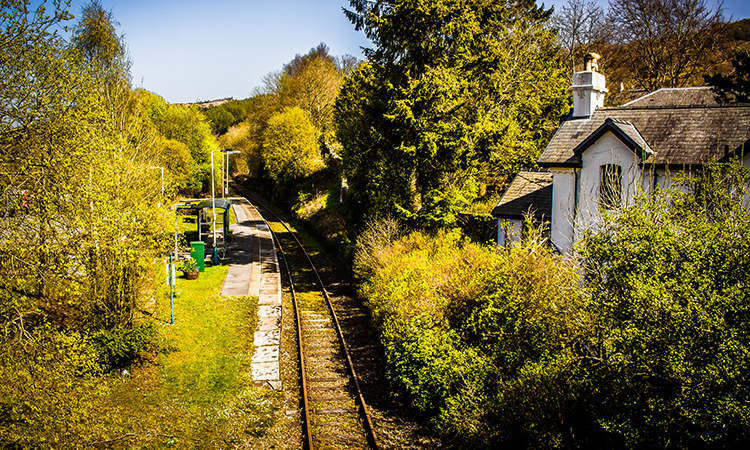 Transport for Wales highlights efforts in reducing carbon footprint for Clean Air Day 2020