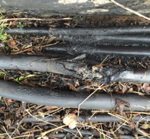 Vandalised cables at Birmingham New Street station