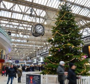 Christmas tree at Waterlook train station