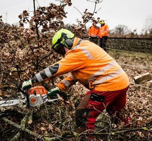 Deutsche Bahn develops resilience strategy for future weather extremes