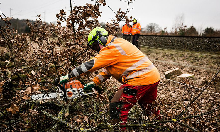 Deutsche Bahn develops resilience strategy for future weather extremes