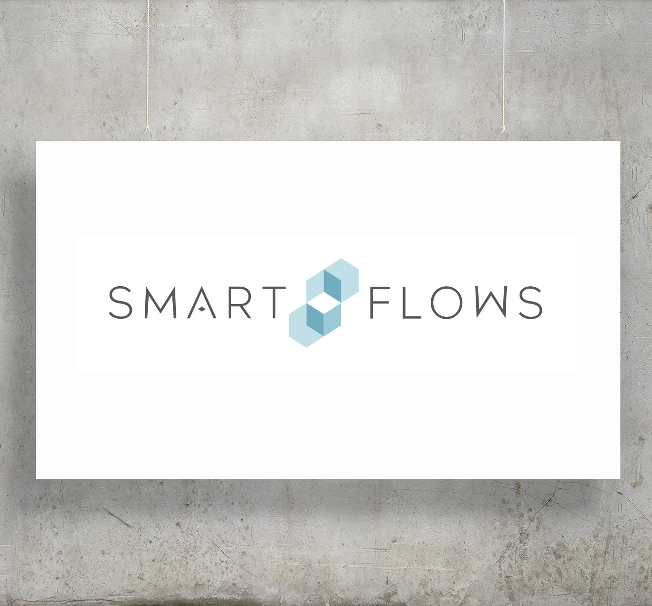 Company Profile Smart Flows