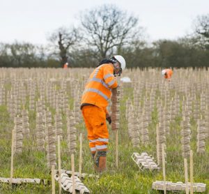 HS2 CEO draws attention to sustainability work on World Environment Day