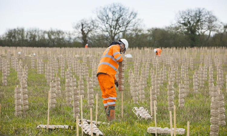 HS2 CEO draws attention to sustainability work on World Environment Day