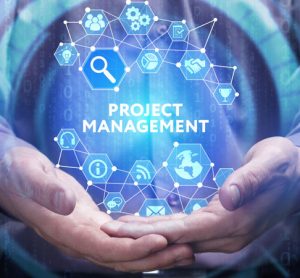 rail baltica project management