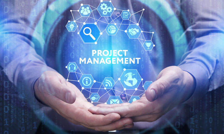 rail baltica project management