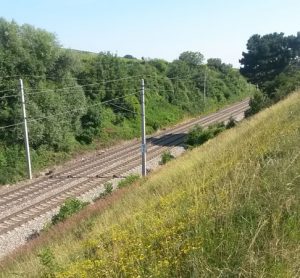 What does biodiversity have to do with the railways?