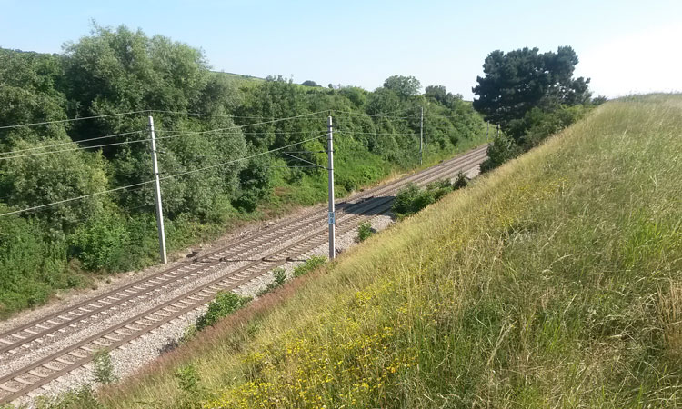 What does biodiversity have to do with the railways?