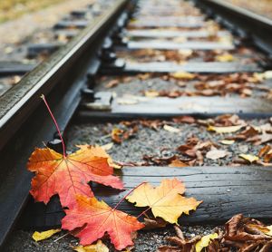 Railway rails closeup background with fallen autumn leaves