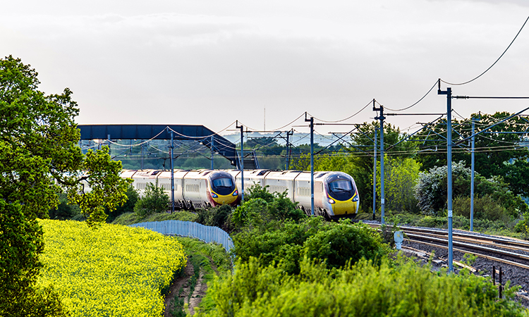 A UK train next to a field during spring