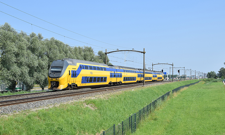 Typical Dutch yellow-blue InterCity VIRM EMU train in green natural environment in sunny weather under blue sky