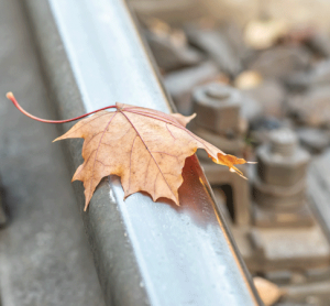 New on-board system developed to instantly detect ‘leaves on the line’