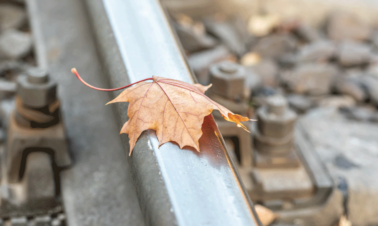 New on-board system developed to instantly detect ‘leaves on the line’
