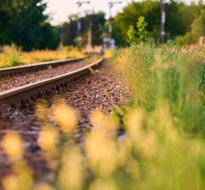 Old railway rails between the grass