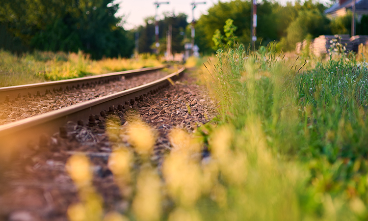 Old railway rails between the grass