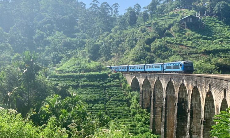 sri lanka tourist train