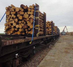 Scottish government funds timber transportation trial to encourage modal shift