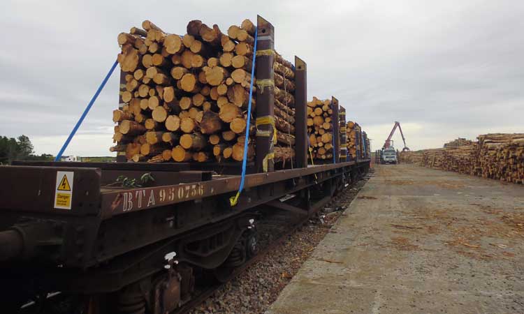 Scottish government funds timber transportation trial to encourage modal shift