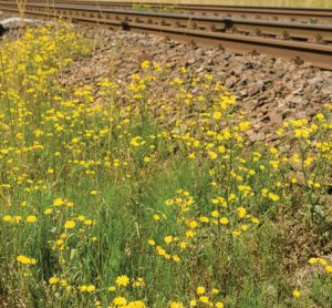 Making ProRail more sustainable