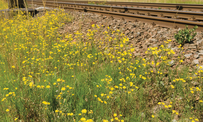 Making ProRail more sustainable