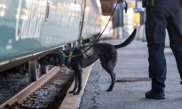 police dog via rail